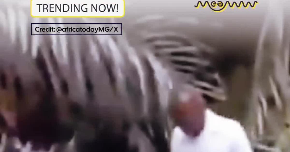 $2M Bridge Built by Congo President’s Own Company COLLAPSES on Opening Day