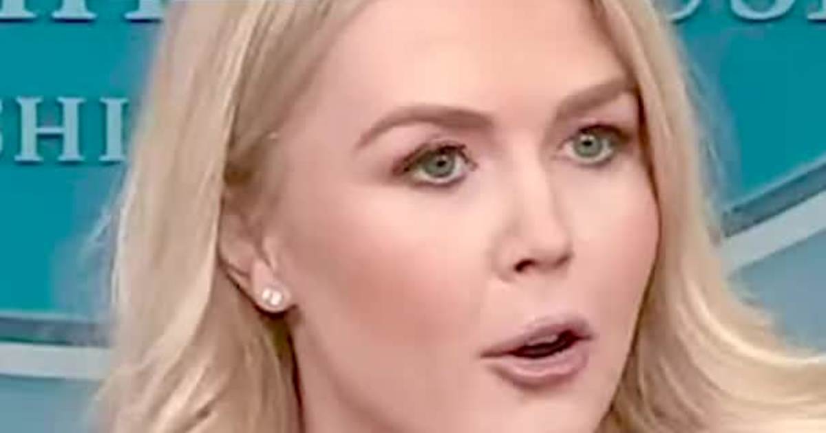 Karoline Leavitt: “Newsom’s California licensed a killer.”