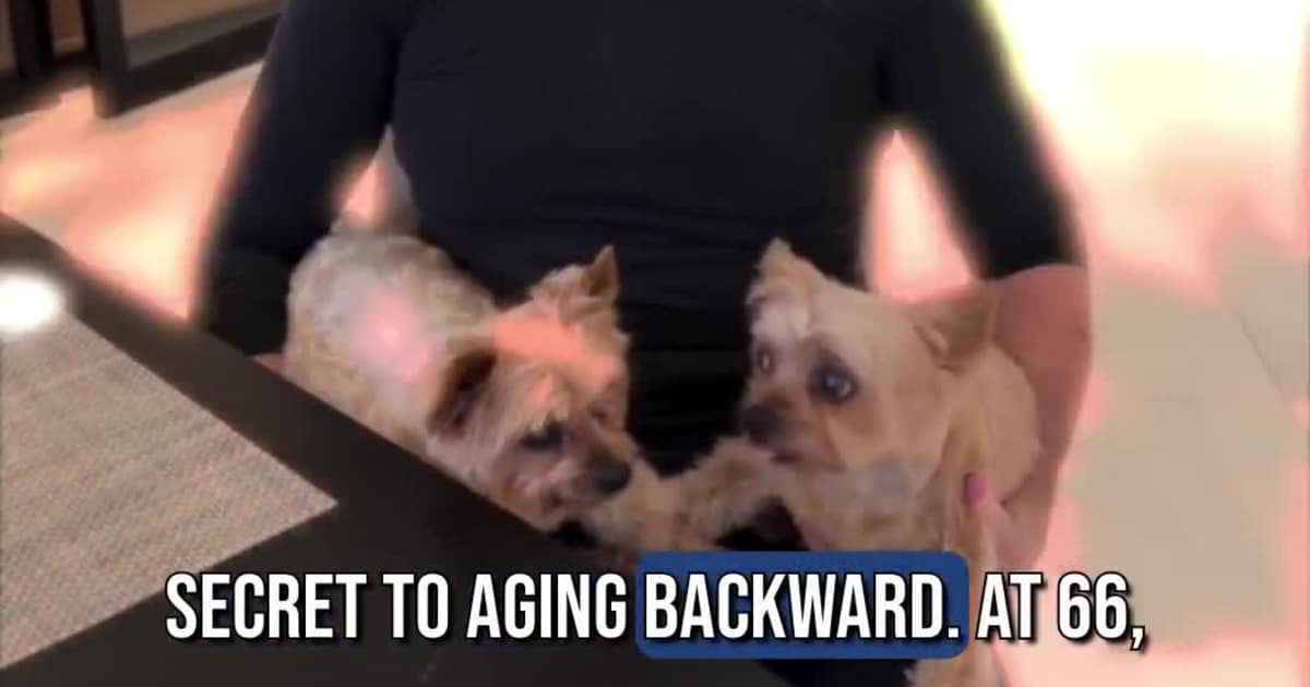 Simon Cowell is Aging Backward With Trying Blood-Filtering