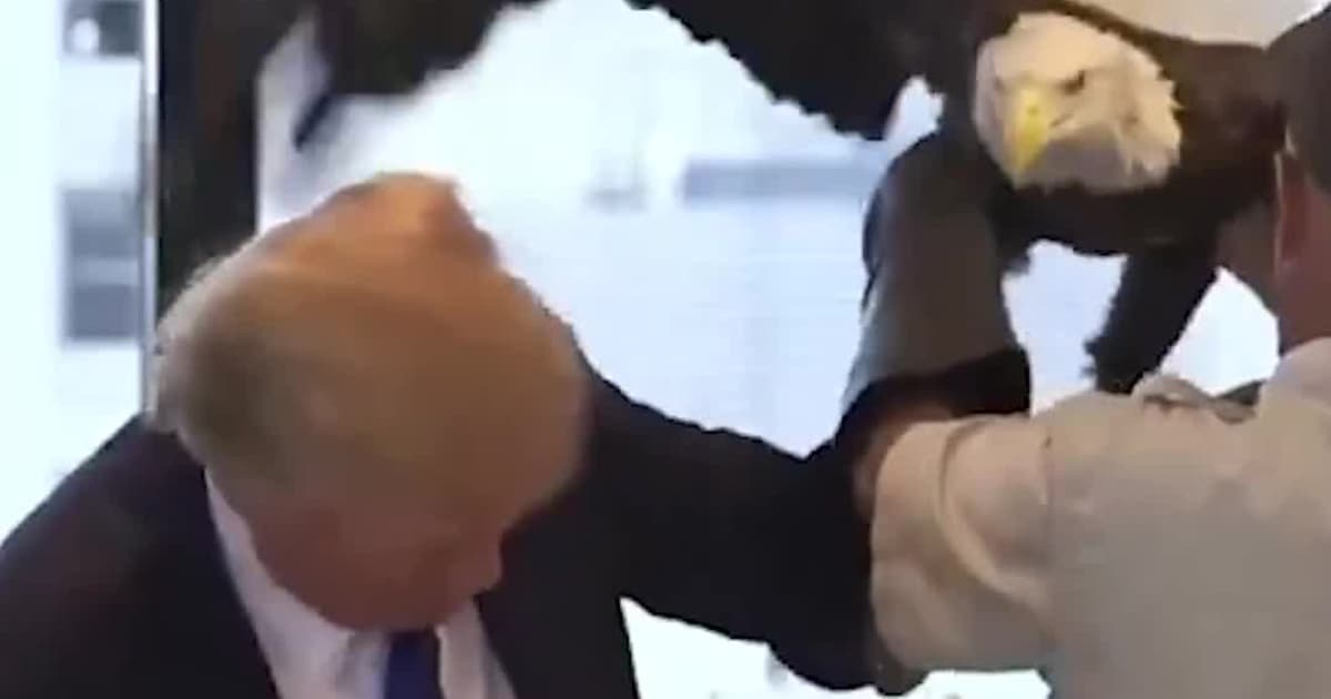 Trump vs. the Eagle