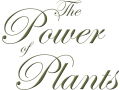 The power of plants