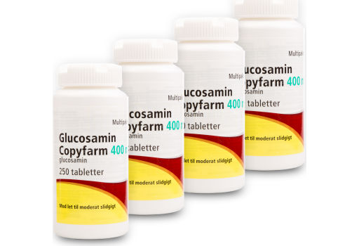 Glucosamin Copyfarm