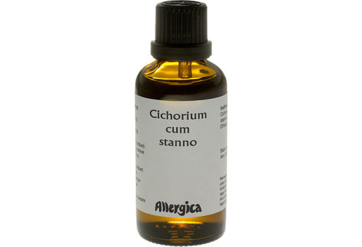 Allergica Cichorium Cum Stanno
