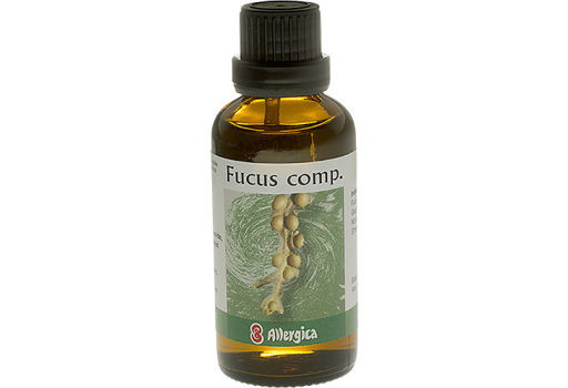 Allergica Fucus Comp.