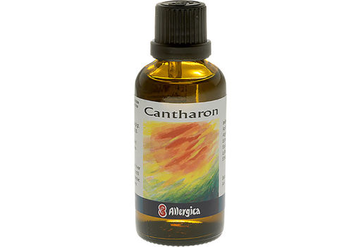 Allergica Cantharon