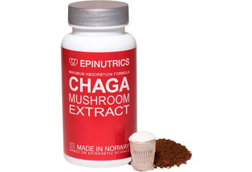 Epinutrics EPI-Chaga