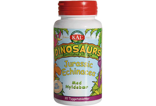 Kal DinoSaurs Echinacea tygge børn 