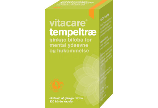 Vita Care Tempelträ Ginkgo Biloba