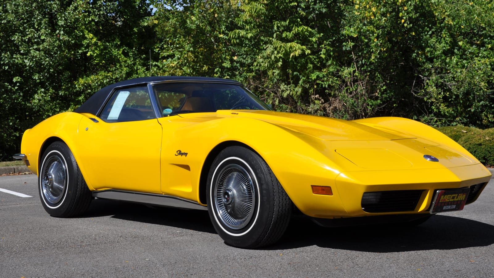 1973 Chevrolet Corvette Convertible at Chattanooga 2022 as S117.1
