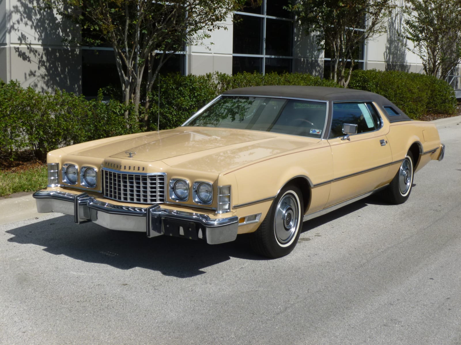 1976 Ford Thunderbird at Kissimmee 2015 as G129.1 Mecum Auctions