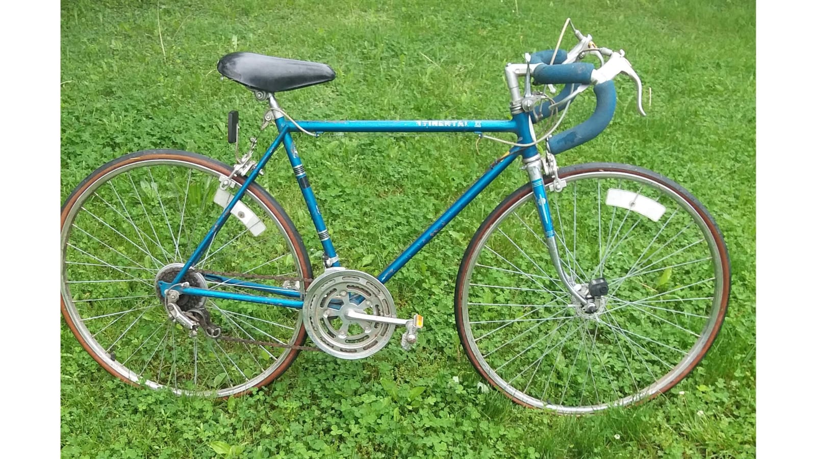 Chicago Schwinn 10Speed Bicycle at Gone Farmin' Fall Premier 2021 as