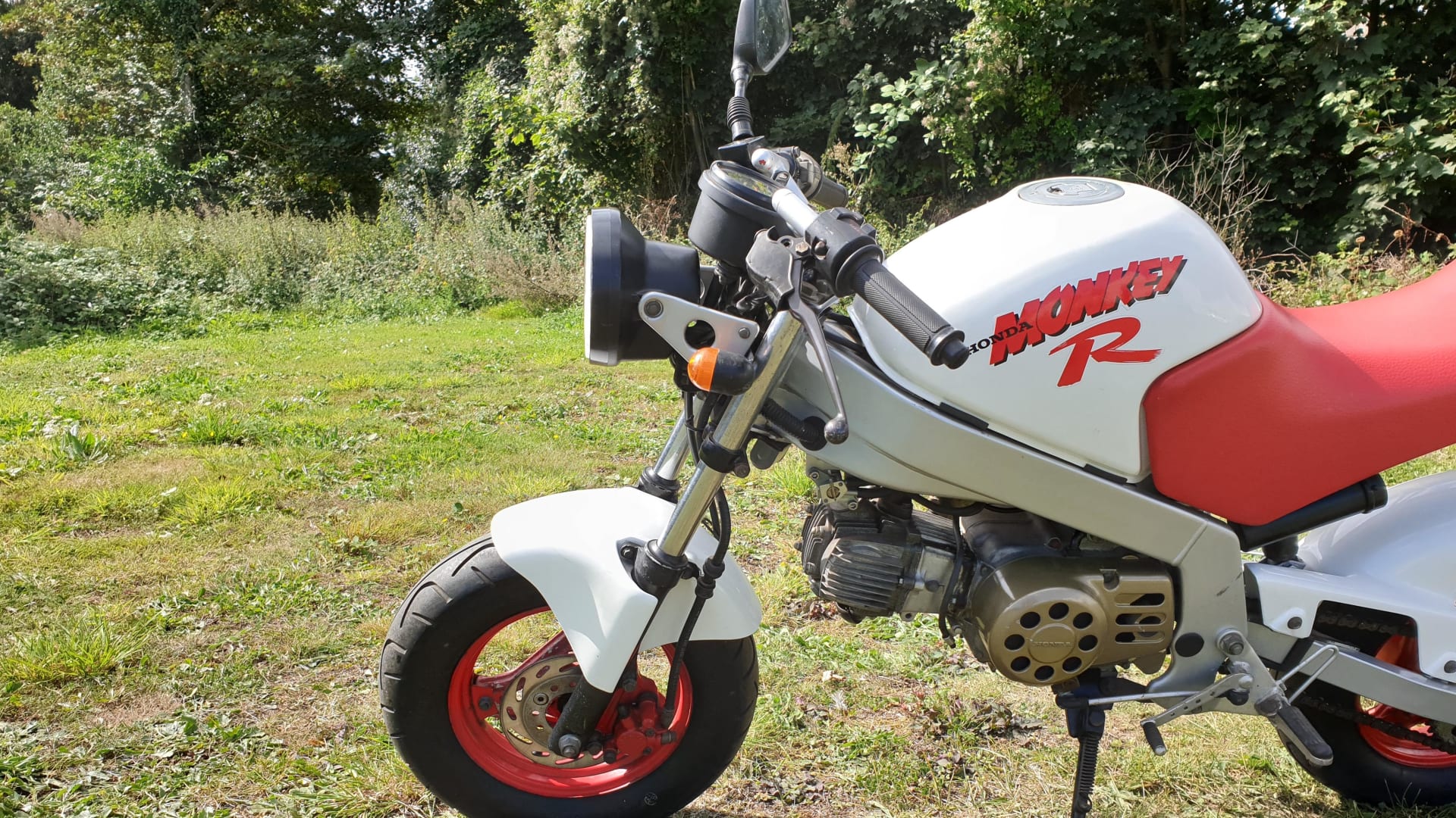 1987 Honda Monkey R at Las Vegas Motorcycles 2020 as T205 - Mecum Auctions