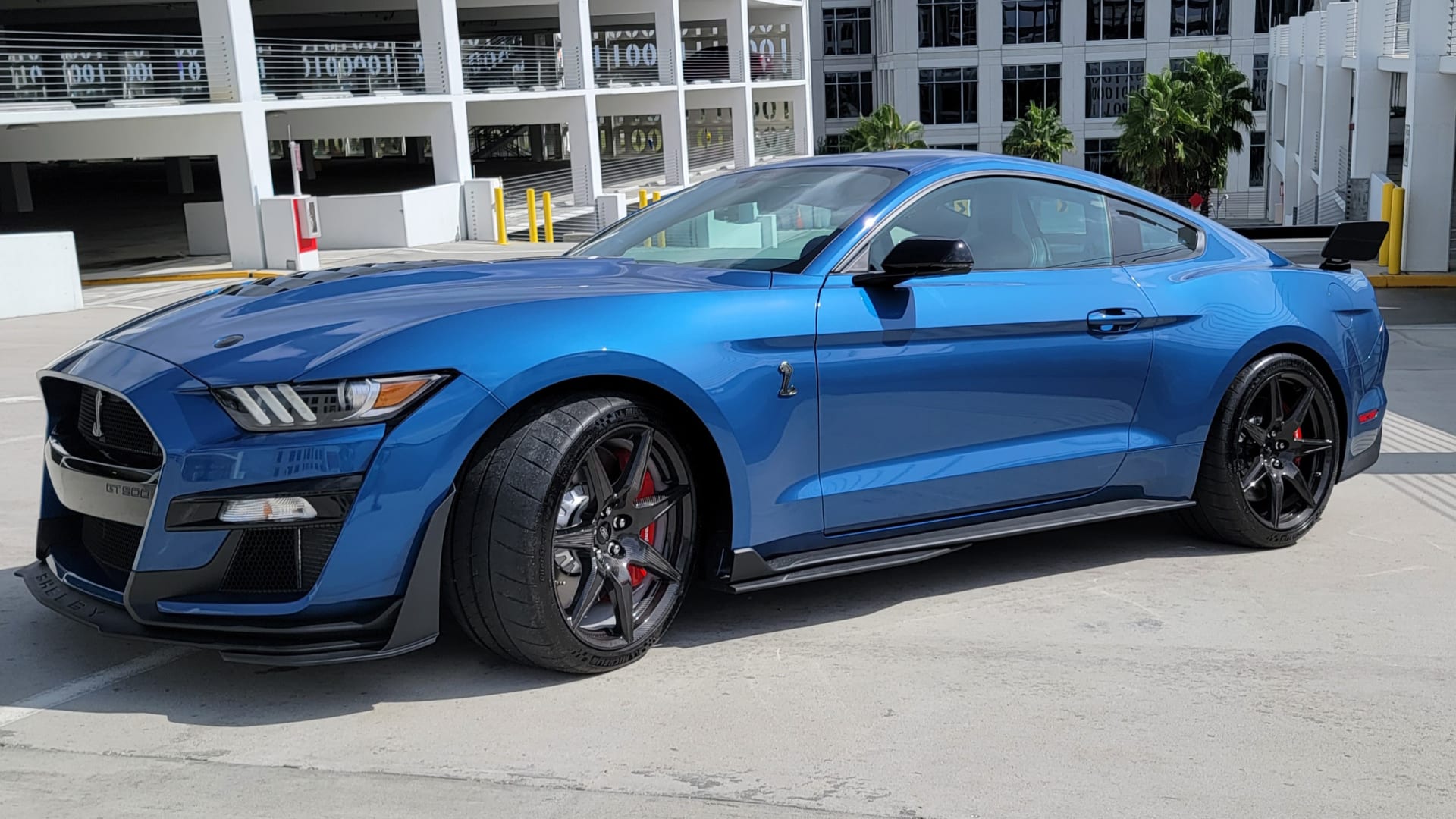 2021 Ford Shelby GT500 at Dallas 2021 as S173 - Mecum Auctions