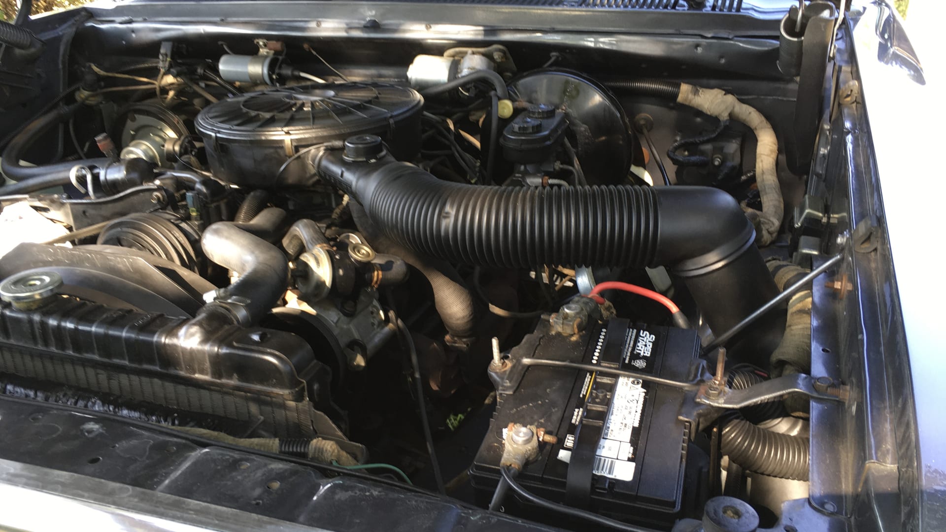 1987 Dodge W150 Pickup at Dallas 2022 as W269 Mecum Auctions