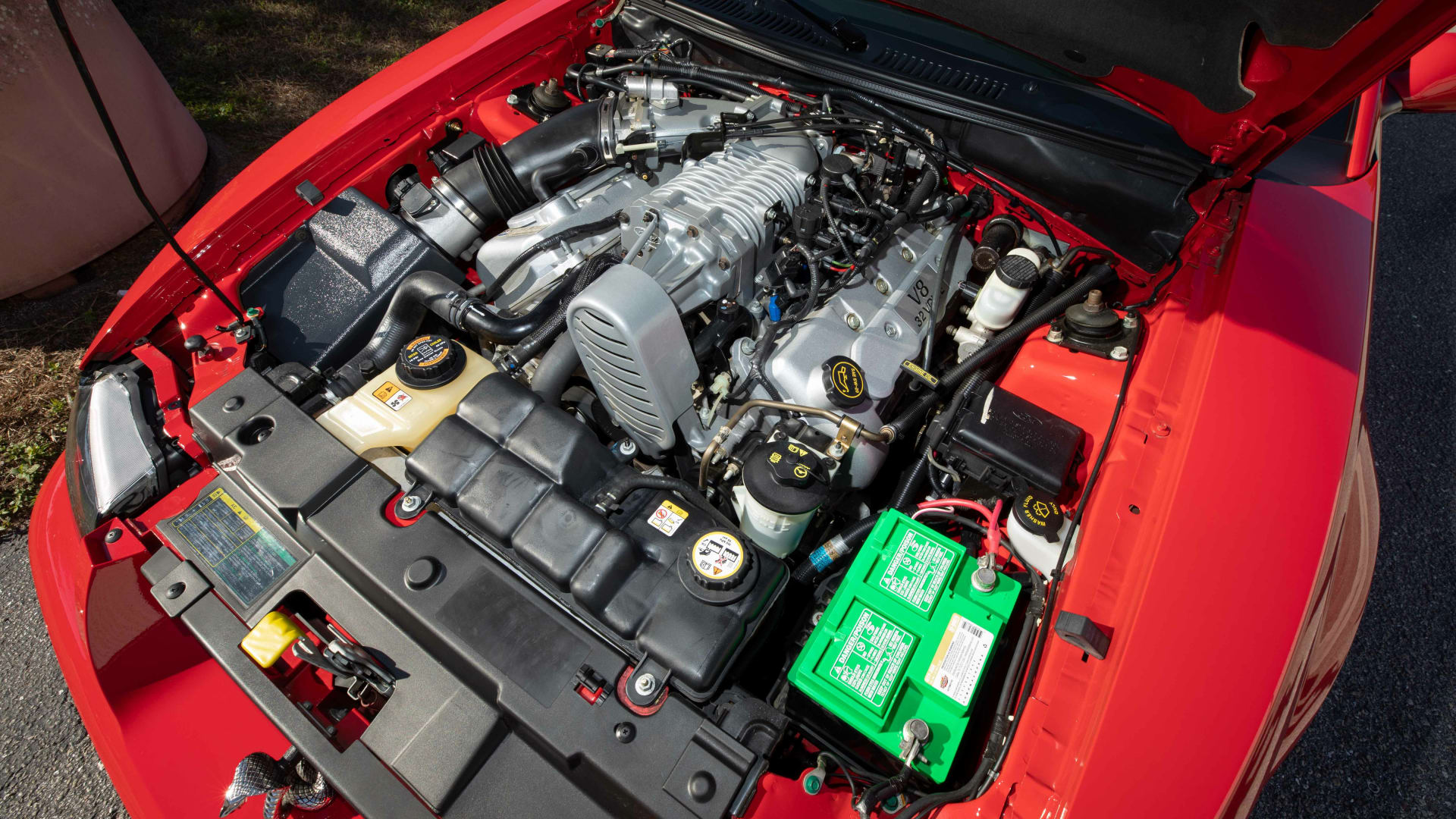 2004 Ford Mustang Svt Cobra At Kissimmee 2022 As F286 Mecum Auctions 1733