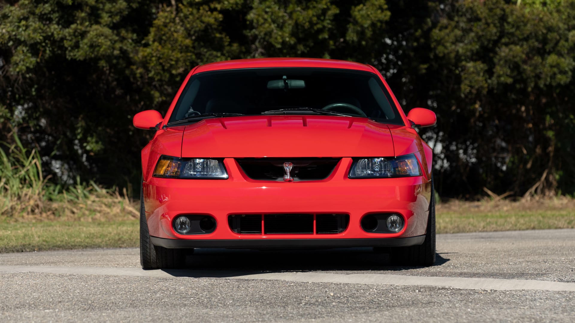 2004 Ford Mustang Svt Cobra At Kissimmee 2022 As F286 Mecum Auctions 8627