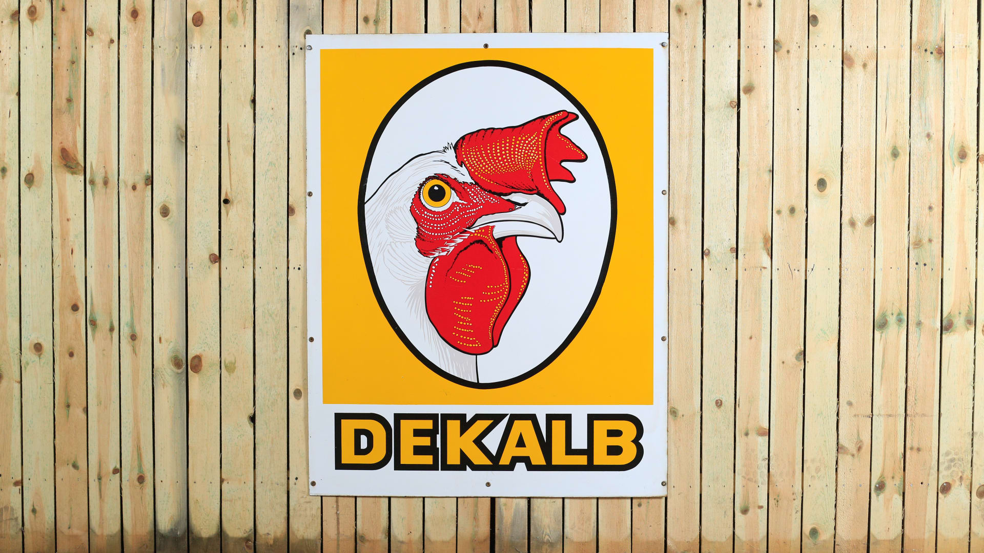 Dekalb SSP 42x54 at Gone Farmin' Iowa Premier 2018 as M72 Mecum Auctions