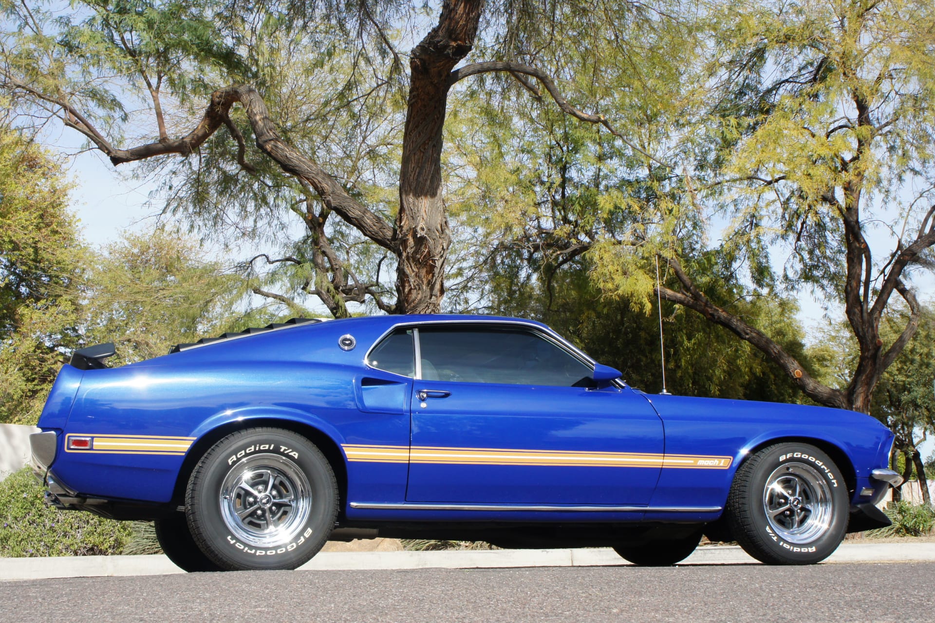 1969 Ford Mustang Mach 1 Fastback at Houston 2014 as S167 - Mecum Auctions