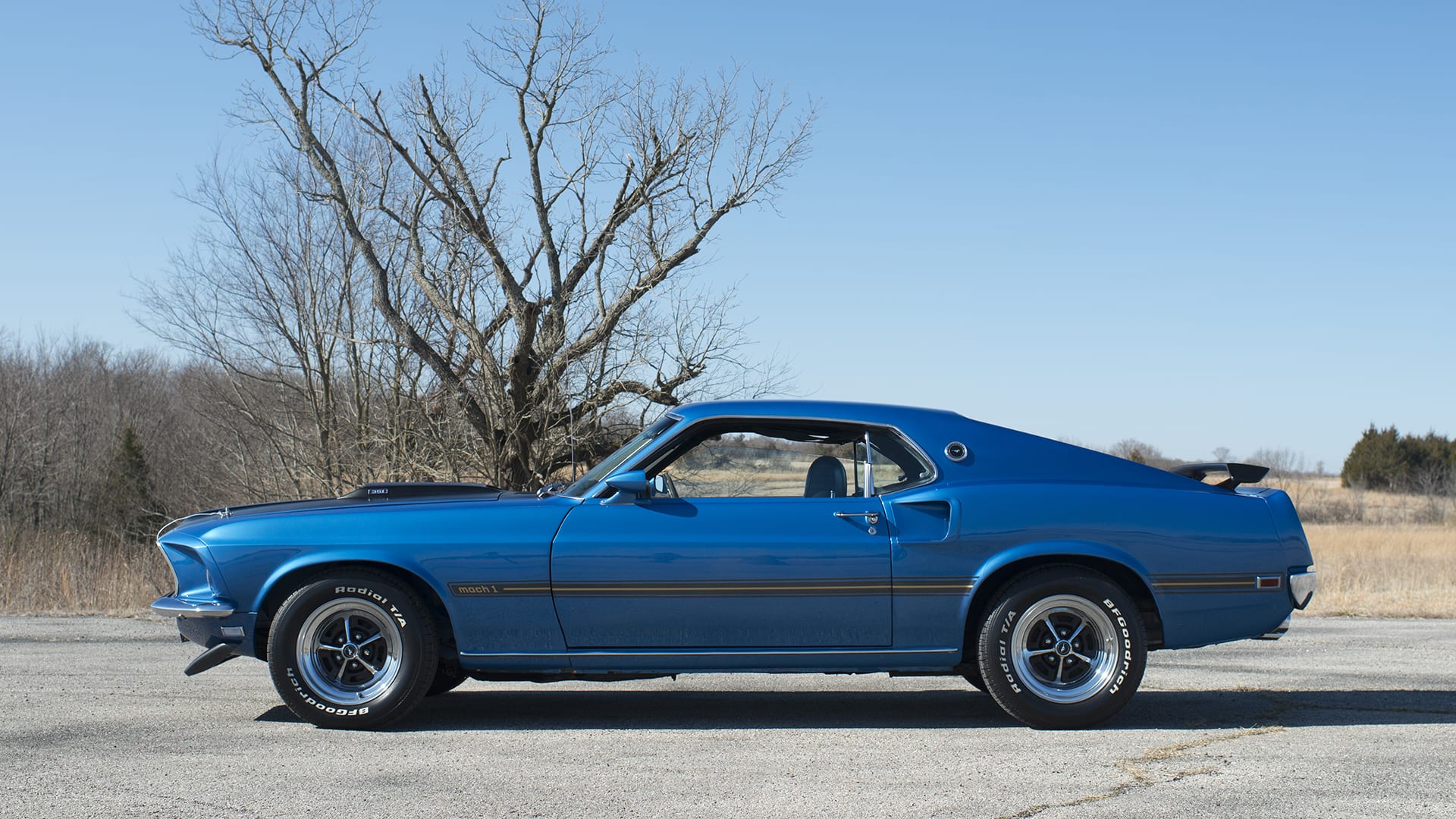 1969 Ford Mustang Mach 1 Fastback at Indy 2020 as F214 - Mecum Auctions