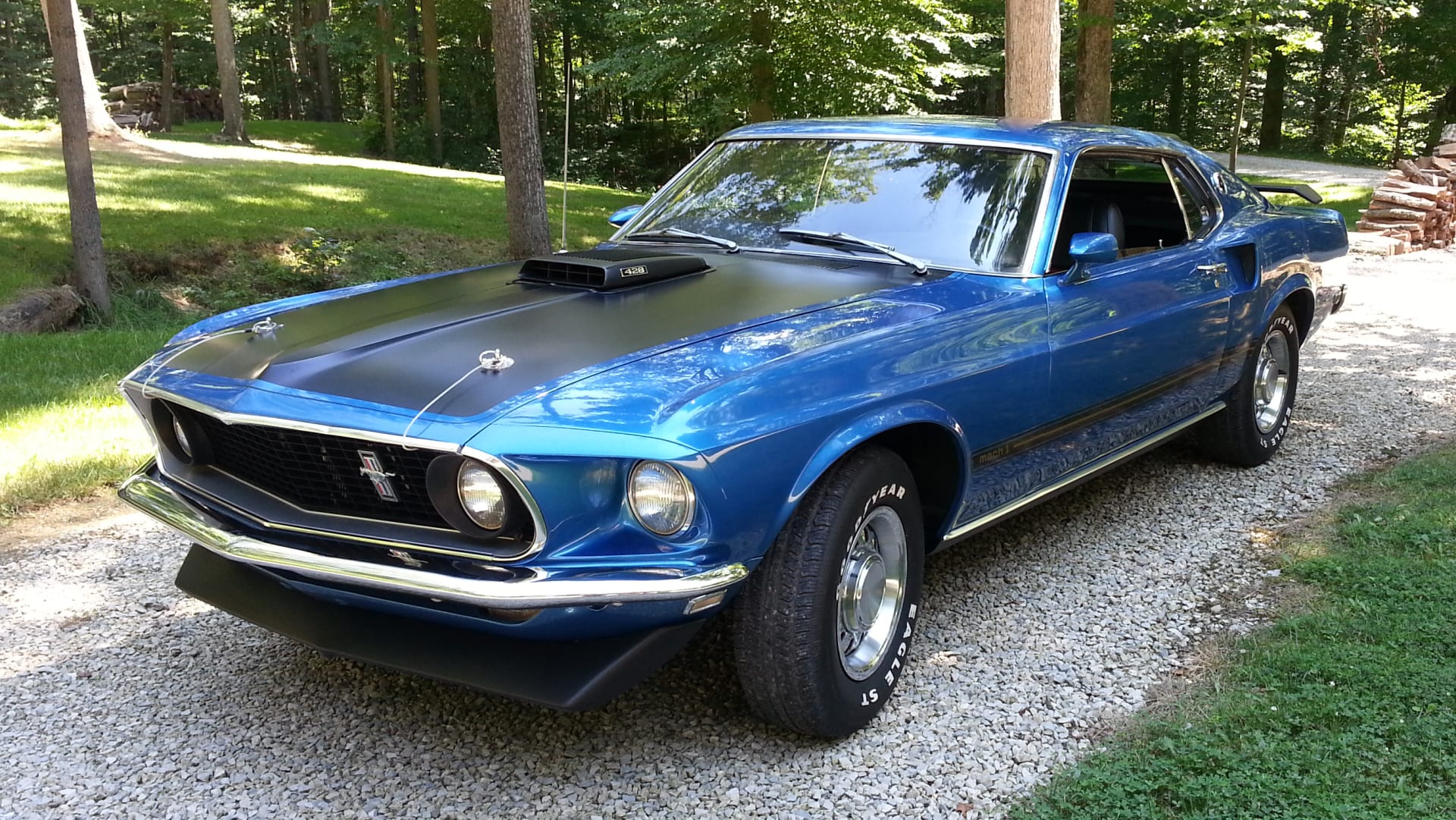 1969 Ford Mustang Mach 1 Fastback at Indy 2022 as W118 - Mecum Auctions