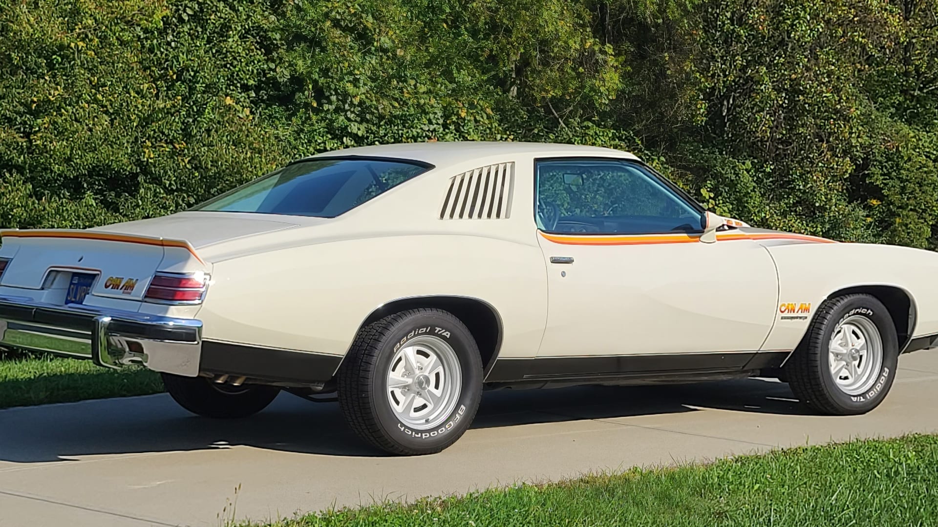 Gorgeous Pontiac Can Am For Sale Background Nature