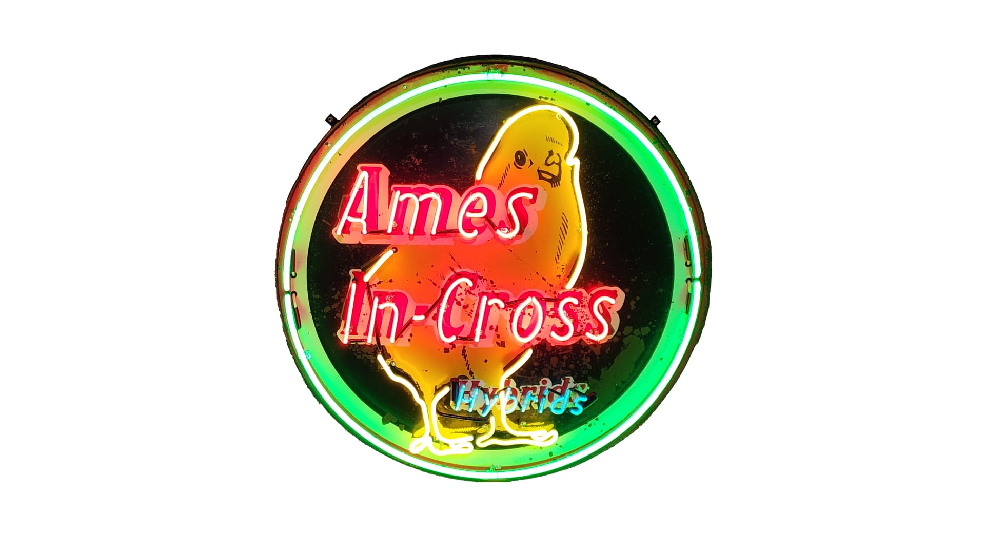 Ames InCross Hybrids SingleSided Tin Neon Sign at Gone Farmin' Spring