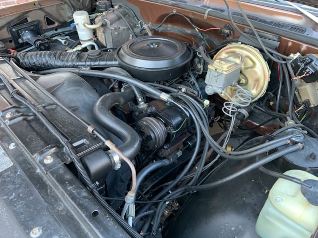 1978 Chevrolet C10 at Kissimmee 2022 as T123 - Mecum Auctions