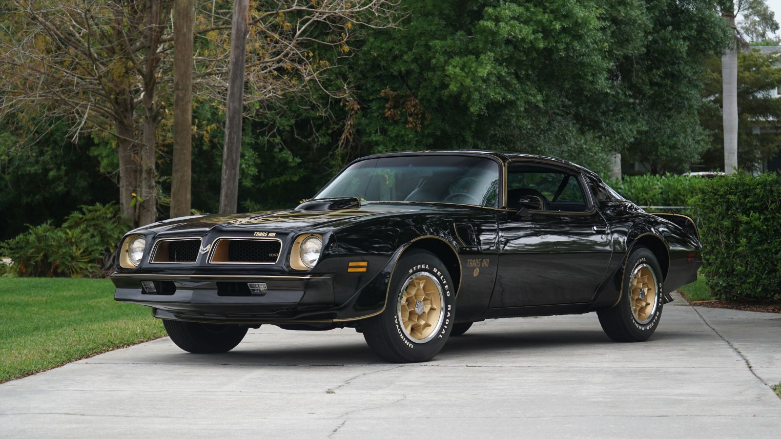 1976 Pontiac Firebird Trans AM SE 50TH Anniversary