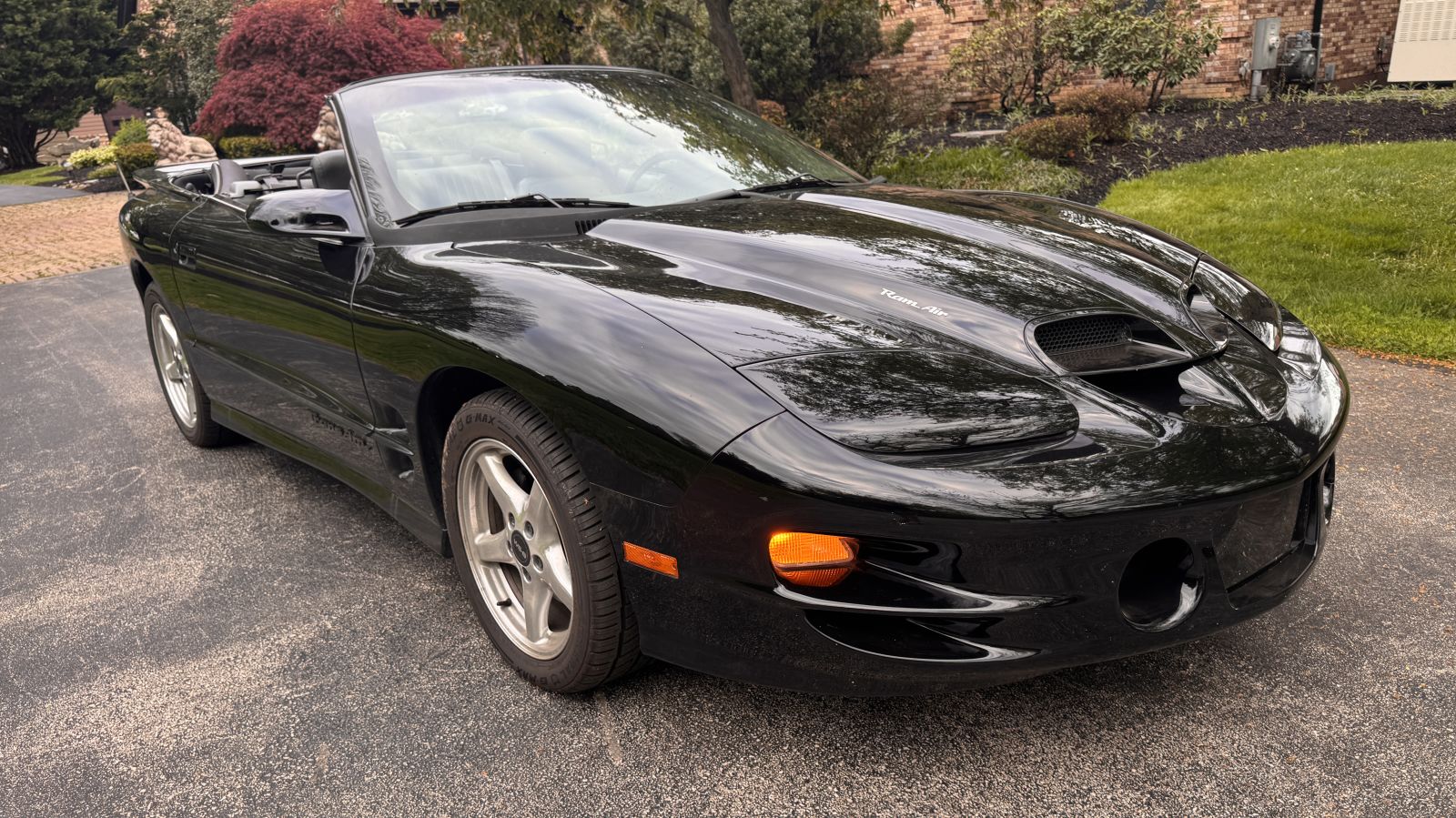 1999 Pontiac Firebird Trans AM WS6