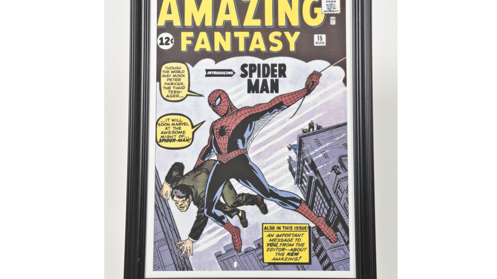 Amazing Fantasy 15 Cover Poster at Fran and Ron Green's Verde Classics