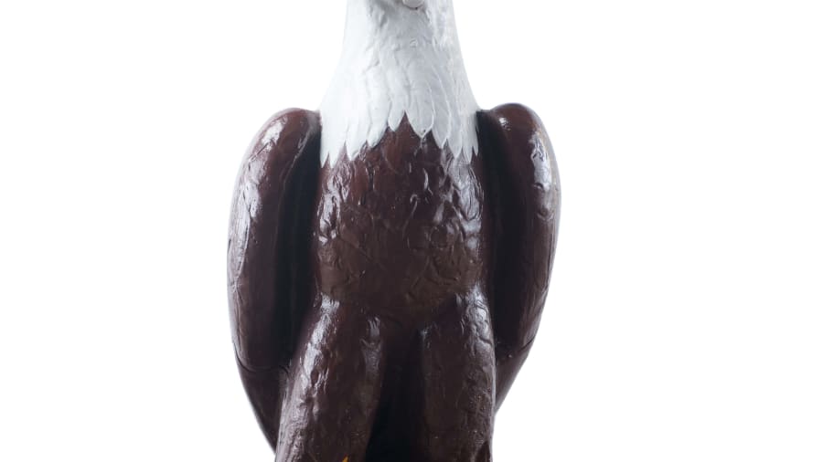 Case Cast Iron Eagle 25x60x25 at Gone Farmin' Fall Premier 2019 as H124