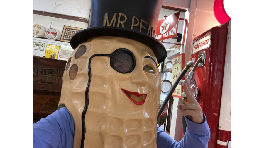 mr peanut costume