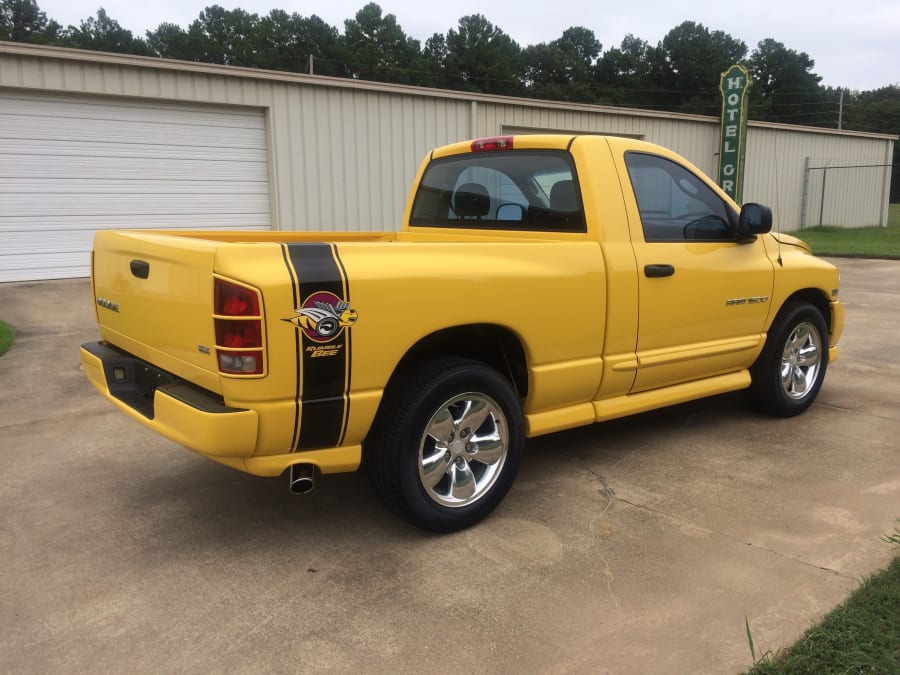 2004 dodge rumble bee