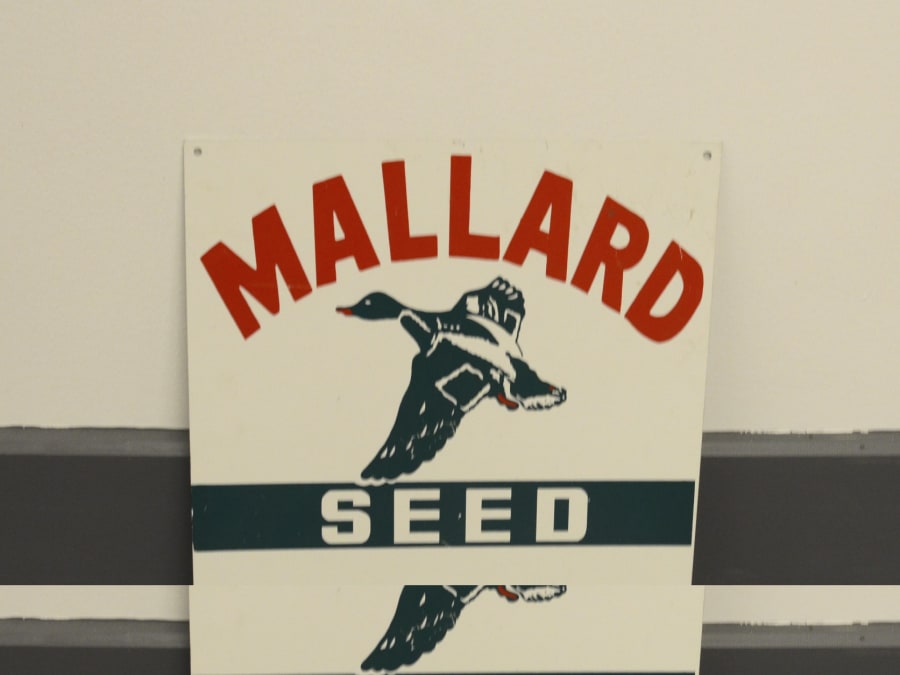 Mallard Seed SST 17.5x14.5 at Gone Farmin' Iowa Spring 2013 as M129