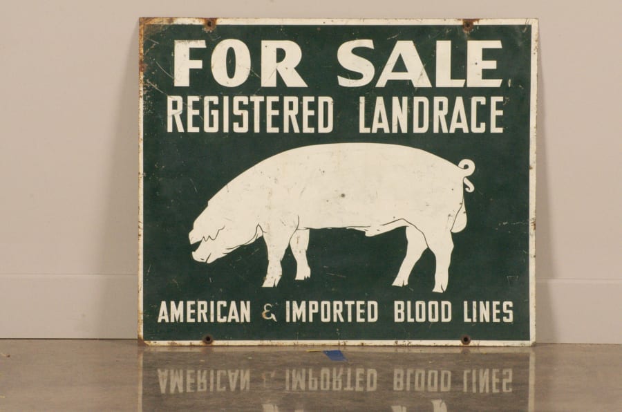 Landrace Pigs DST 34x28.25 at Gone Farmin' Walworth 2013 as M62 Mecum