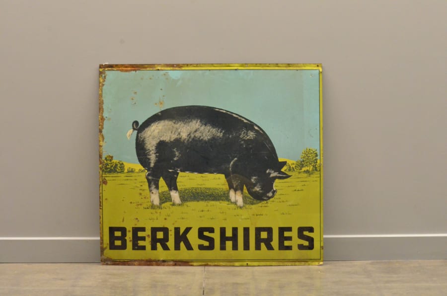 Berkshires DST 48x43.5 at Gone Farmin' Tractor Spring Classic 2014 as