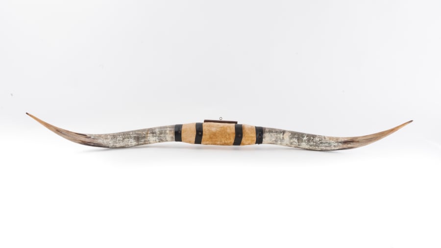 Texas Long Horns 79x6x6 at Gone Farmin' Fall Premier 2019 as B75