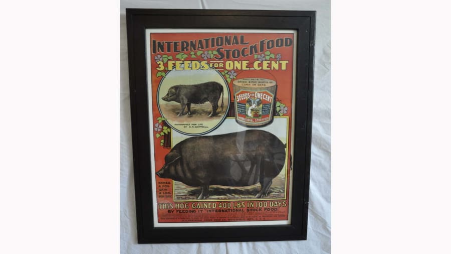 International Stock Food Framed Advertisement at Gone Farmin' Fall
