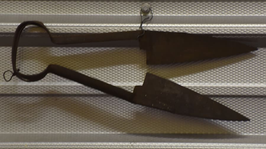 Sheep Shears for sale at The Henry (Bud) Reifsneider Estate Collection