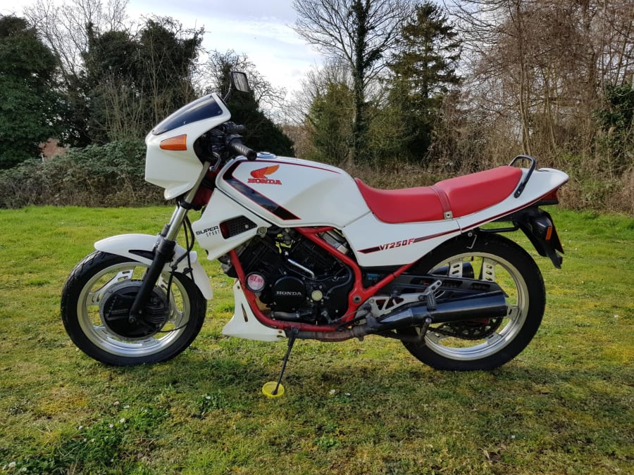 1984 Honda VT250F for Sale at Auction - Mecum Auctions