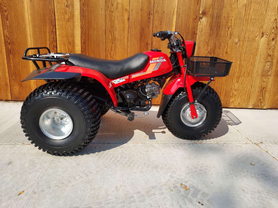 1984 Honda ATC 125 for Sale at Auction Mecum Auctions