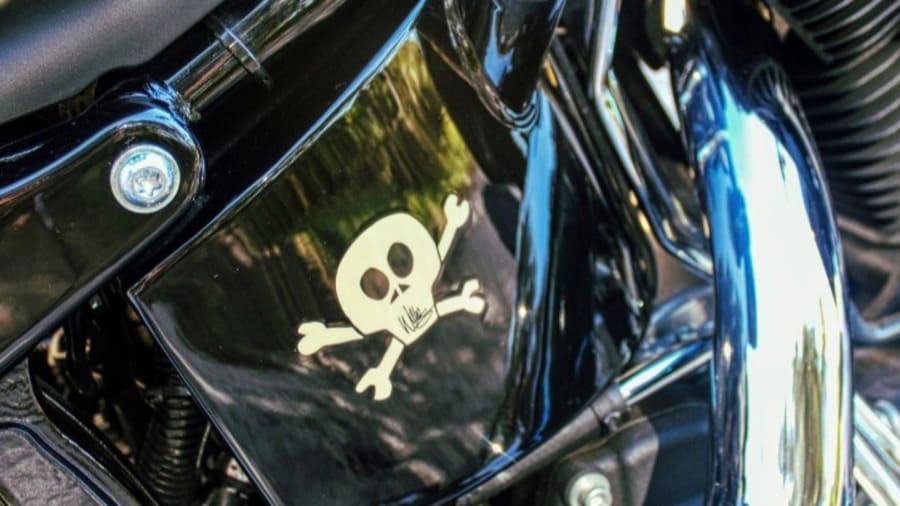 HARLEY DAVIDSON 骨 スカル ボーン 2009年 2009 Harley-Davidson FLSTSB Softail Cross Bones