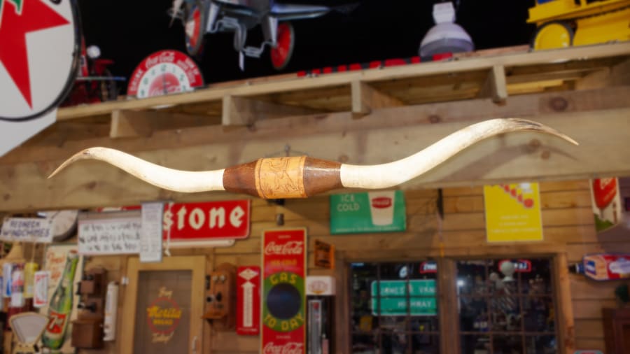 Longhorn Steer Horns for Sale at Auction Mecum Auctions