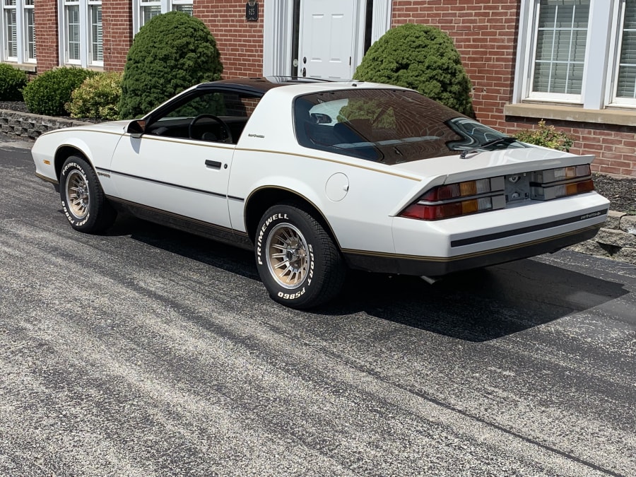 1984 Chevrolet Camaro Berlinetta at Harrisburg 2019 as F37 - Mecum Auctions