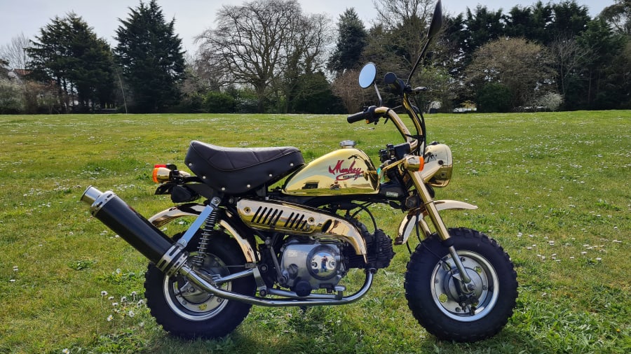 1993 Honda Z50J for Sale at Auction Mecum Auctions
