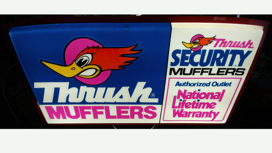 thrush muffler bird logo