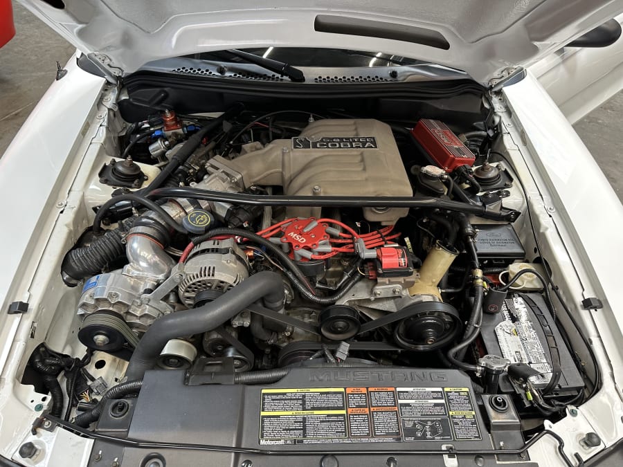 1995 Mustang Cobra Engine