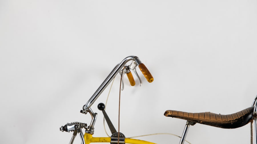 Schwinn Lemon Peeler  Autodesk Community Gallery