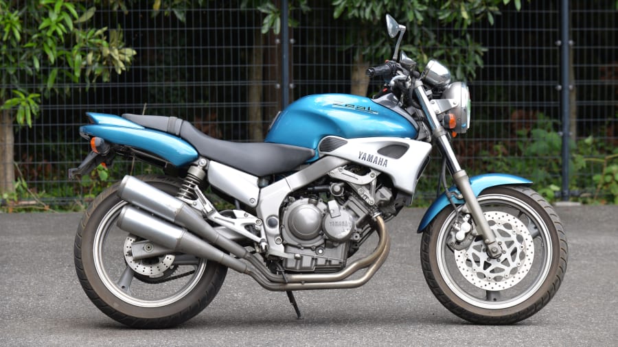 1991 Yamaha FMZ 250 Zeal For Sale At Auction - Mecum Auctions