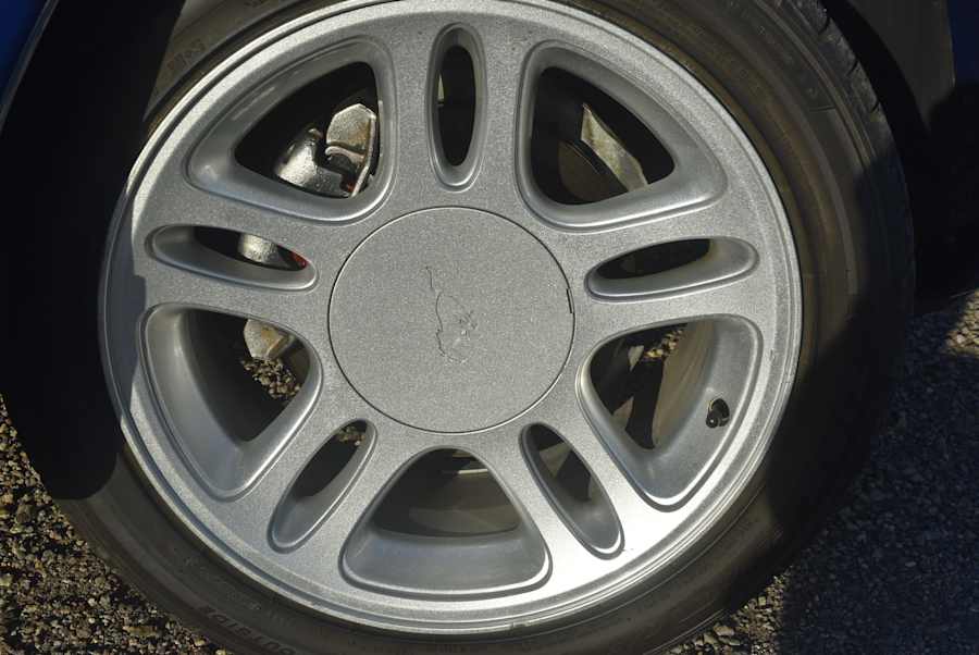 Photo 7